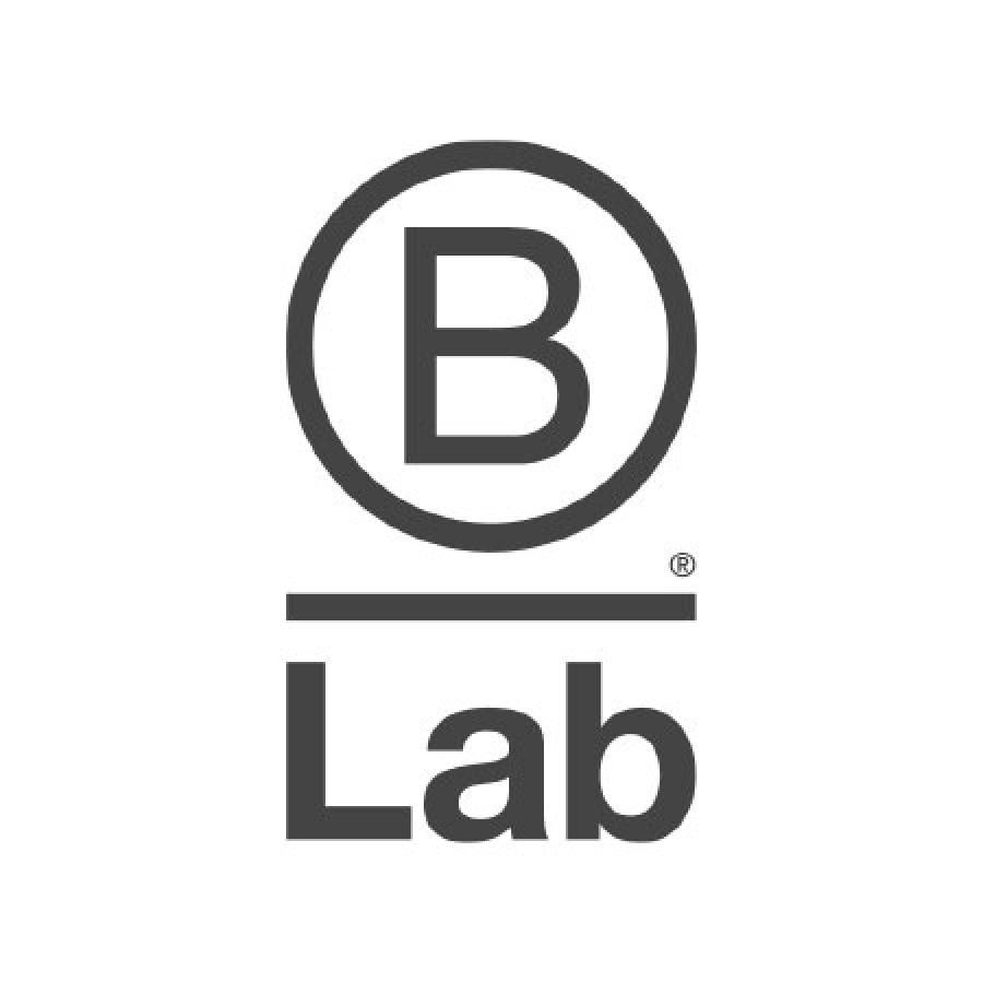 b lab logo